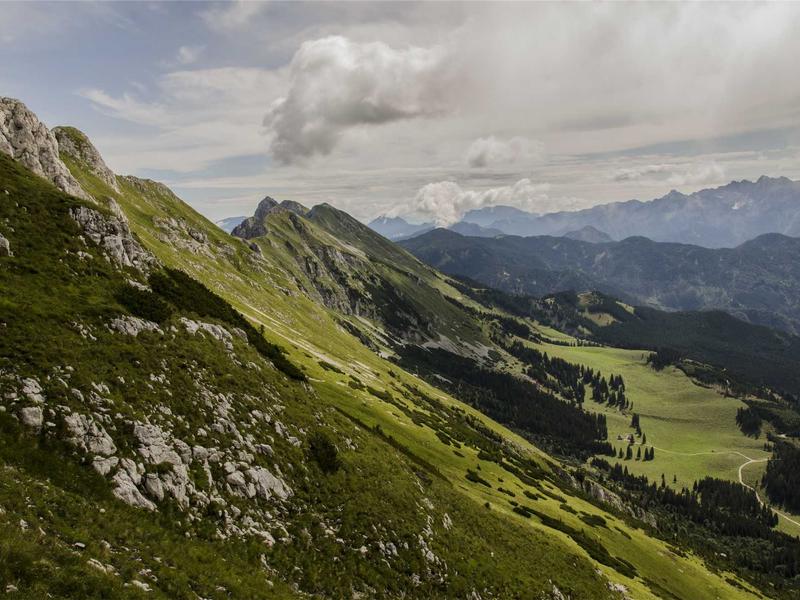 直播助眠师<br>lyd4nhjn.cn ASMR 触发音
